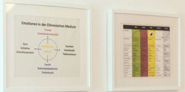Emotionen in der Chinesischen Medizin